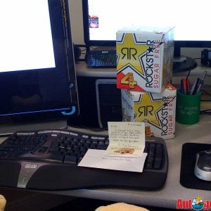 Diet Rock Star