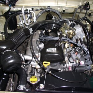 P3030178
