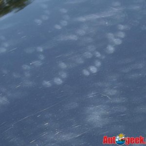 Fingermarks