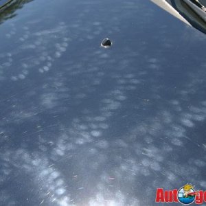 Fingermarks