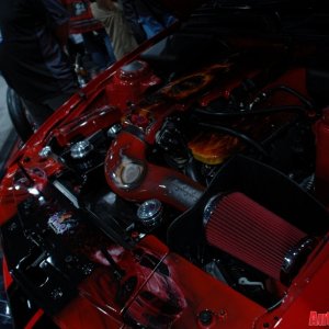AG2_4394