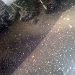 fuzzy_liner_re2