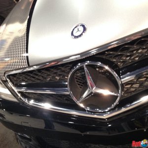 AG-SEMA2013-D1-171