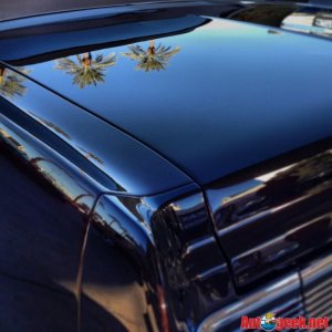 AG-SEMASHOW-0114