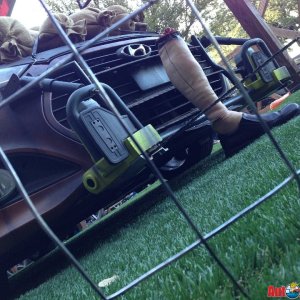 AG-SEMASHOW-0709