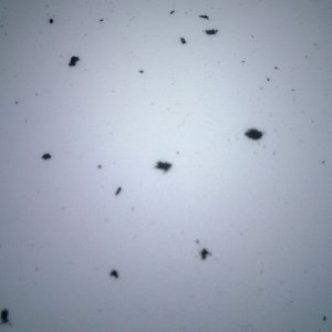WP_20131118_001