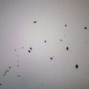 WP_20131118_002