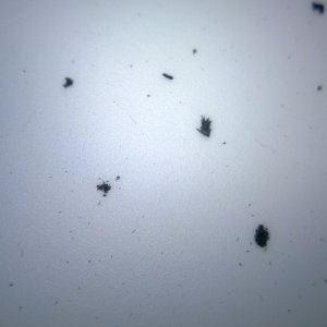 WP_20131118_003
