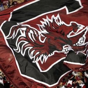 gamecocks