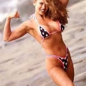 Flex_model