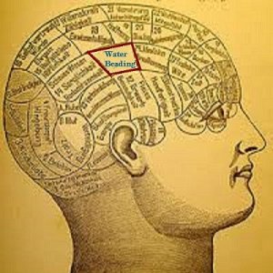 phrenology