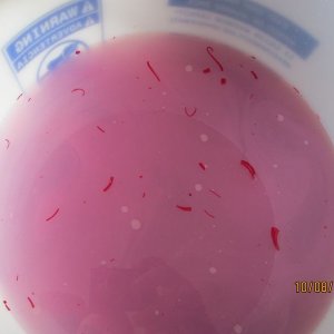 800_Duragloss_Rinseless_Wash_05