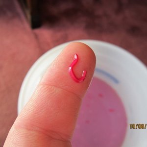 800_Duragloss_Rinseless_Wash_06