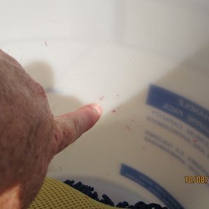 800_Duragloss_Rinseless_Wash_07