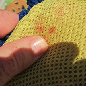 800_Duragloss_Rinseless_Wash_09