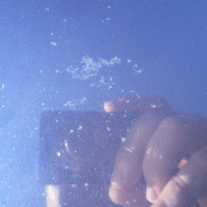 800_Bird_Droppings_02
