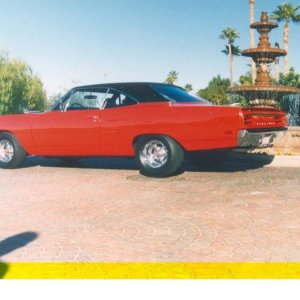 Photograph_6_