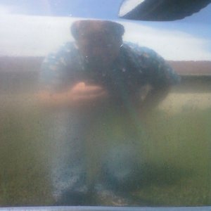 800_Trashed_Trailblazer_12