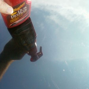 800_Trashed_Trailblazer_13