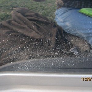 800_Trashed_Trailblazer_187