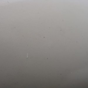 DSC02538