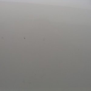DSC02539