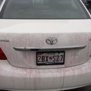DSC02544