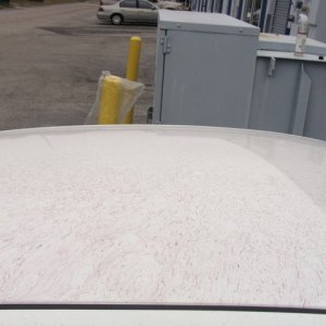 DSC02547