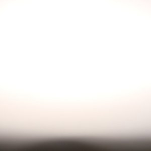DSC02556