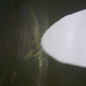 WP_20130920_047