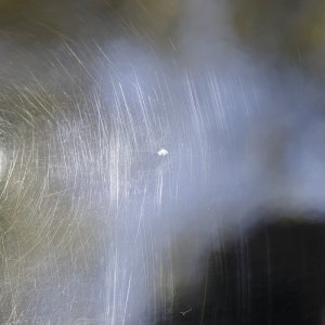 IMG_40631