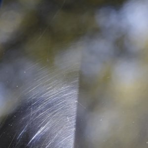 IMG_4069