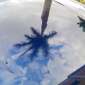DSCN6141