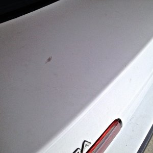 1992 Acura Integra Trunk Lid Before