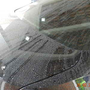 back-beading