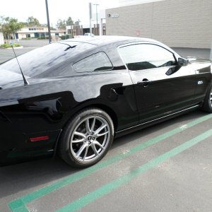 My Black Beauty Debbie