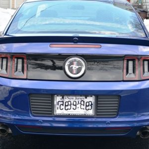 My First Mustang