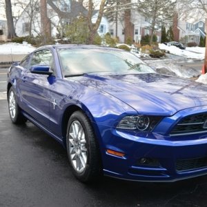 My First Mustang