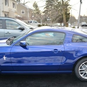 My First Mustang