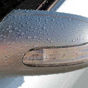 Washing Stacy's Car