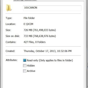 picture_count