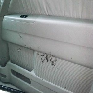 dirty_right_side_door_gum
