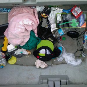 dirty_trunk