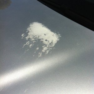 volvo_paint_before