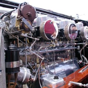 IMGP7683