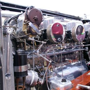IMGP7685