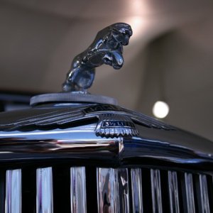 IMGP7912