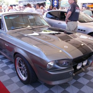 IMGP7923