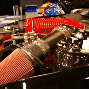 IMGP7987