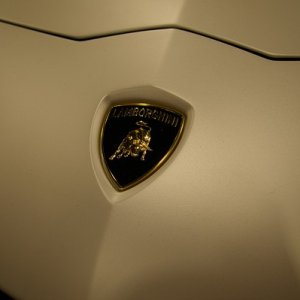 IMGP8005